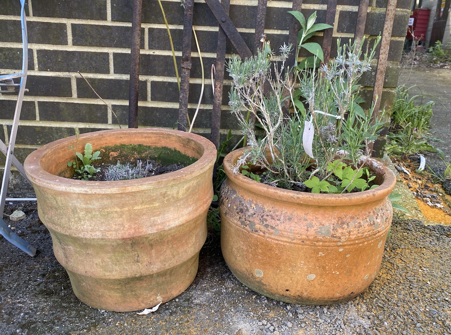 Two circular terracotta planters, larger height 30cm
